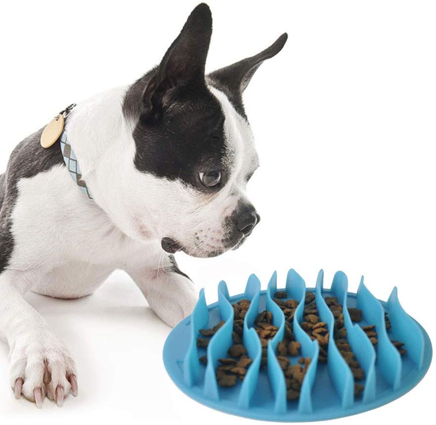 LumoLeaf Slow Feeder Dog Bowls,Warm home